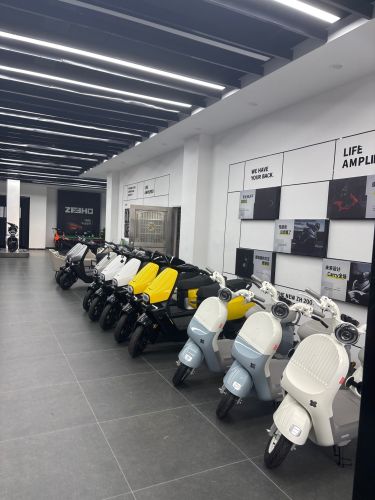 ZEEHO极核电动(千家中心大道店)