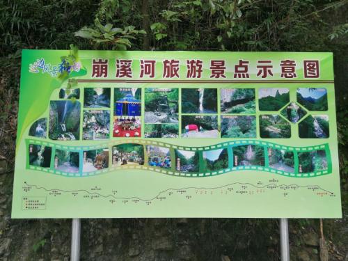 城口县九重山国家森林公园旅行图片 2