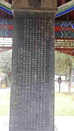 子路博物馆旅行图片 2