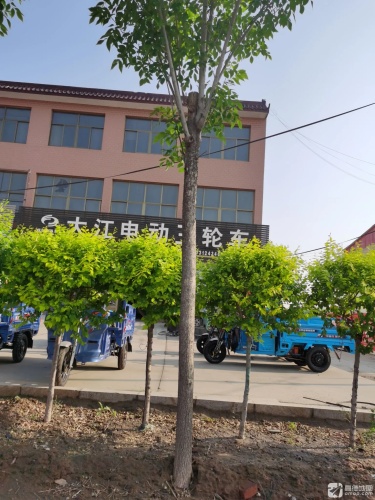 大江电动三轮车(东亭专卖店)