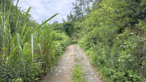 玄麓山风景区