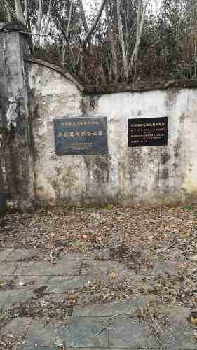 乐安王墓旅行图片 1