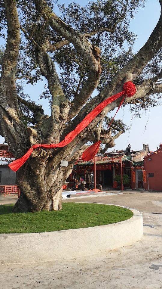 湖美禅寺实景照片