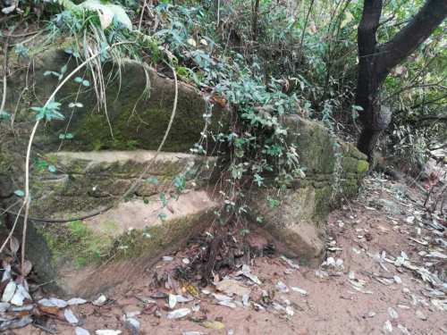 泰和牧歌滩尾景区旅行图片 3