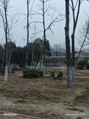 雨水花园