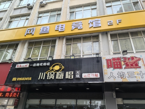网鱼电竞馆