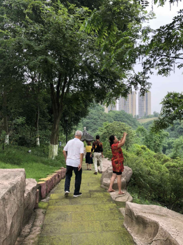 泸州东岩公园旅行图片 1
