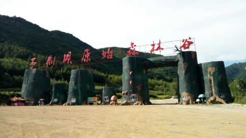 茅荆坝原始森林谷(建设中)旅行图片 1
