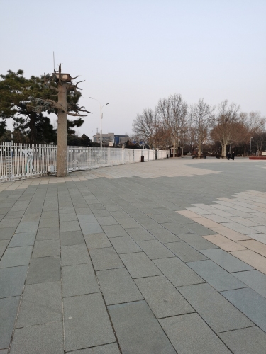奥林匹克公园-奥运冠军纪念柱