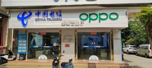 中国电信(东方感城金龙专营店)