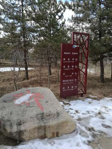 盛乐百亭园旅行图片 2
