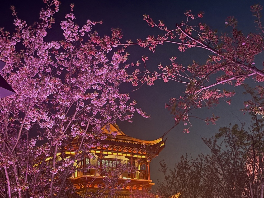 盐城大洋湾生态旅游景区景点图片