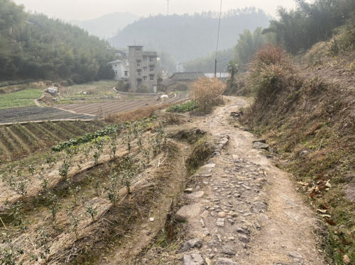 含晖洞旅行图片 3