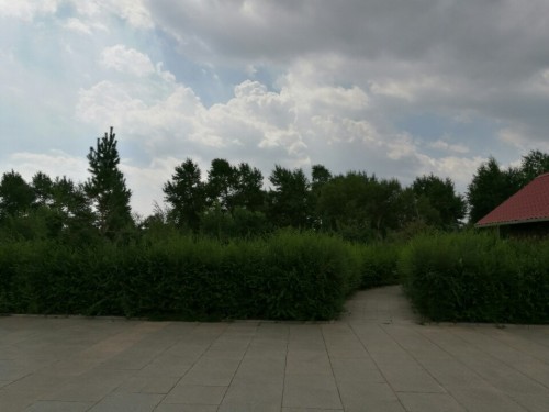 北关公园旅行图片 3