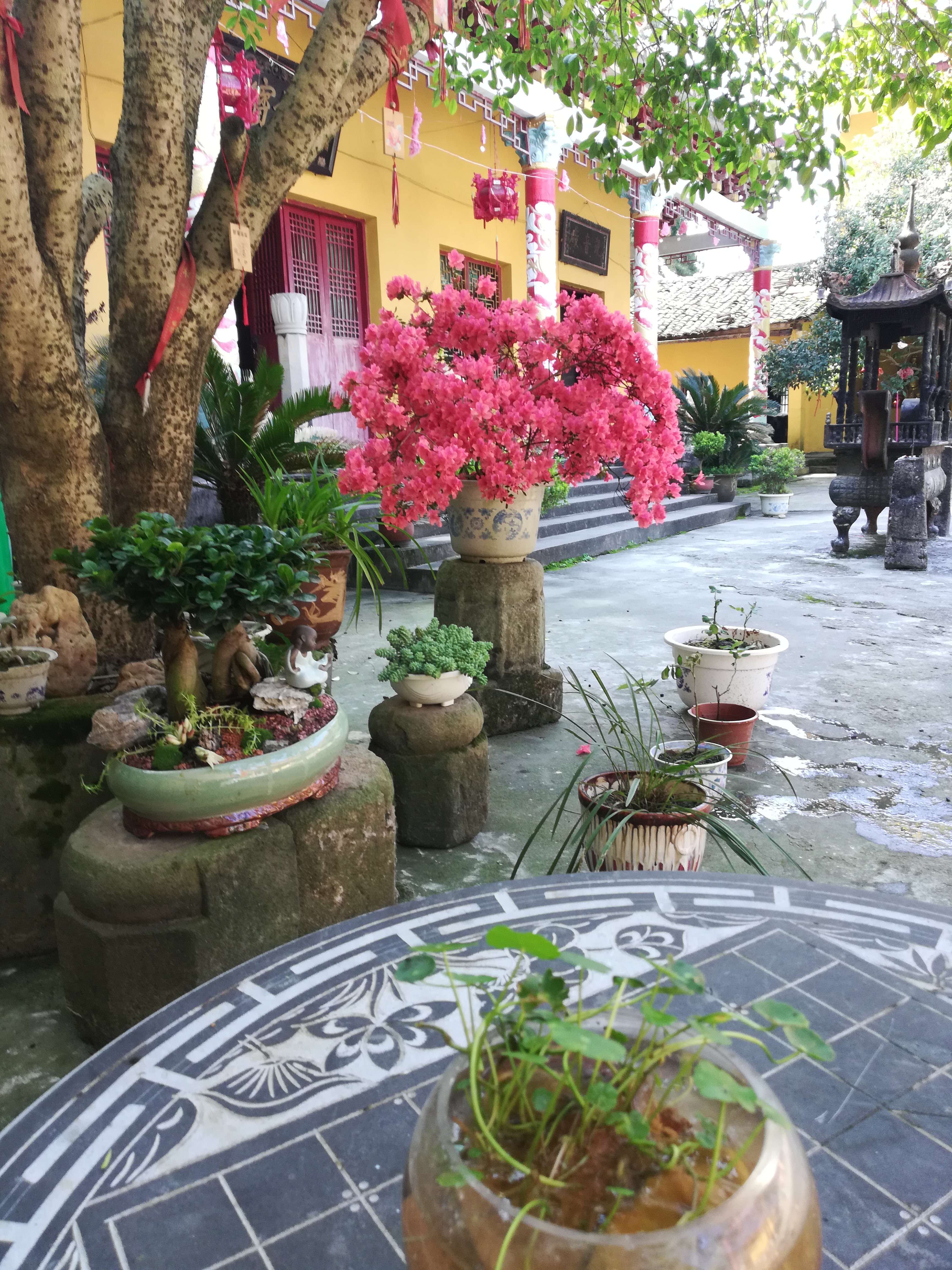 七宝寺实景照片