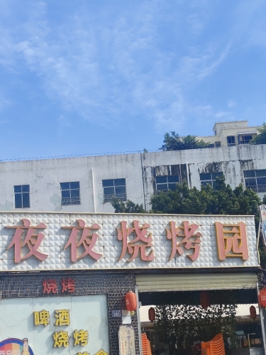 夜夜烧烤园