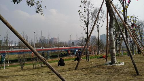 上中坝生态景区旅行图片 3
