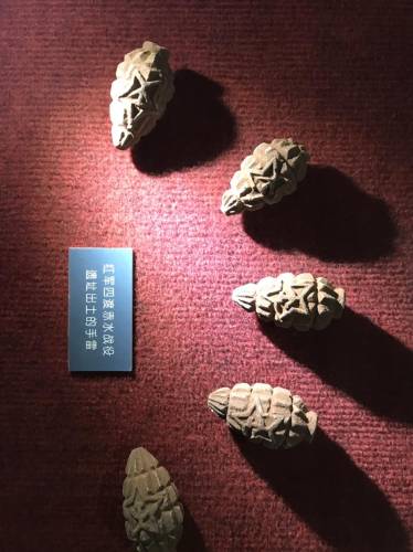 万寿宫旅行图片 2