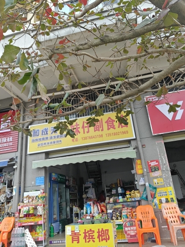 屯昌妹仔副食店
