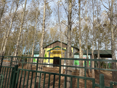 梅花鹿乐园
