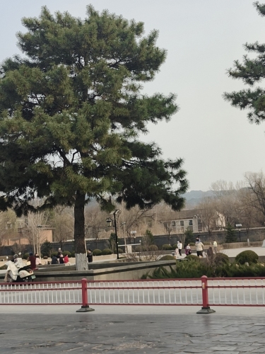 承德市双桥区普宁公园