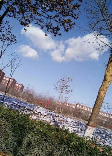 消防主题公园旅行图片 1
