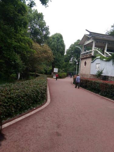 人民公园旅行图片 1
