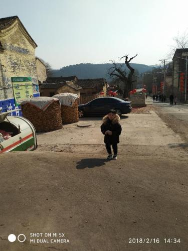 千年酸枣树旅行图片 3