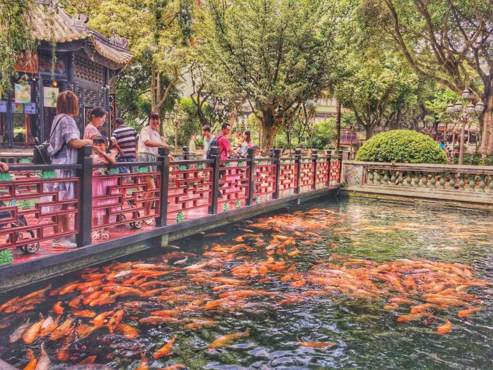 宝墨园景点图片