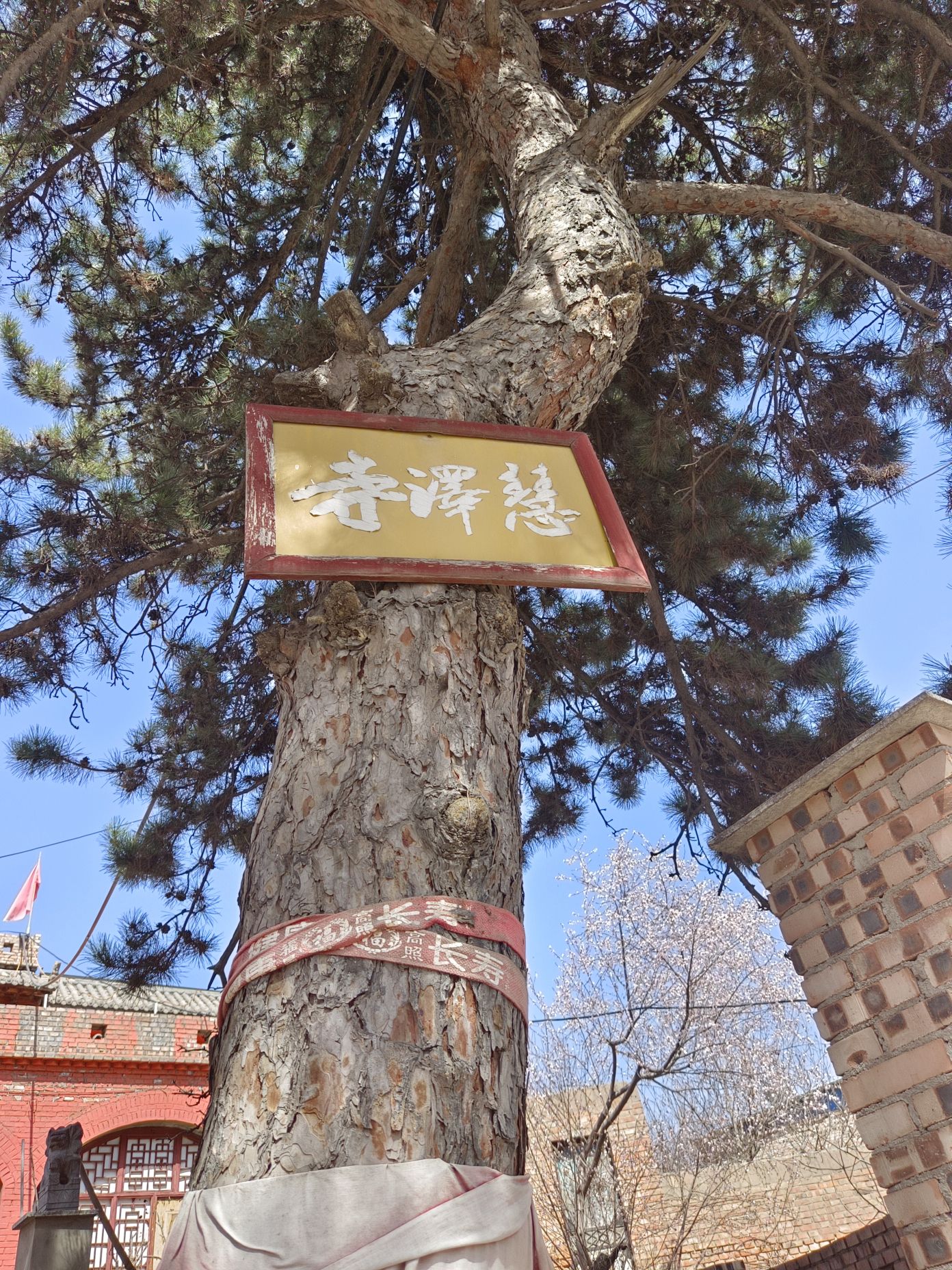 慧泽寺实景照片