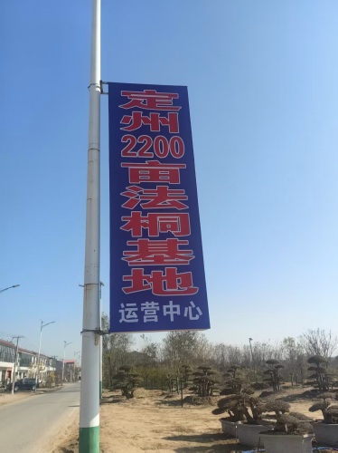 定州2200亩法桐基地运营中心
