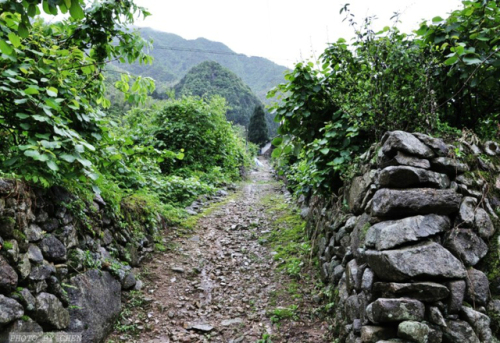 仙霞古道旅行图片 2