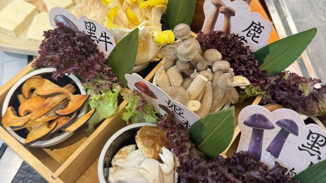滇菌肴野生菌火塘