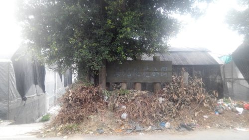 荔湾区海北东石桃花公园旅行图片 3