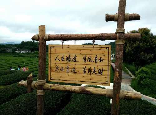 凤冈县茶海之心景区旅行图片 1