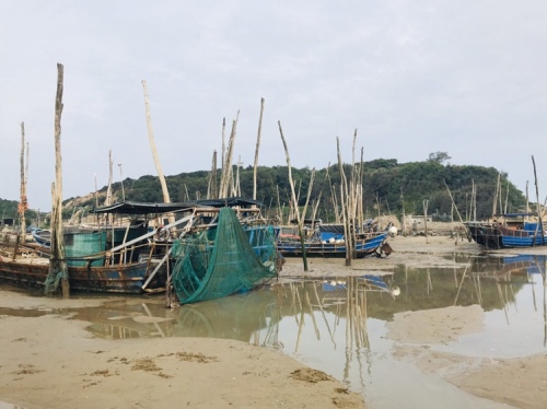 滋澳海滩旅行图片 3