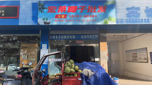 宏莱椰子批发中心