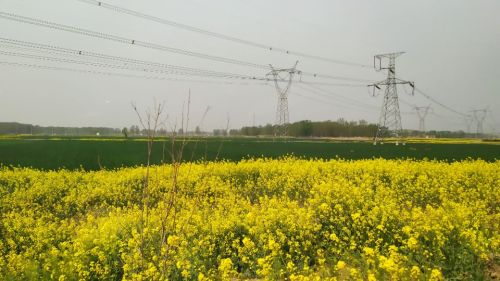 青龙湖风景区旅行图片 1
