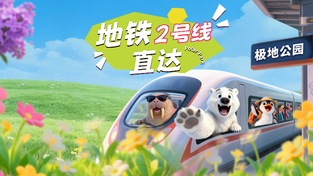 哈尔滨极地公园景点图片