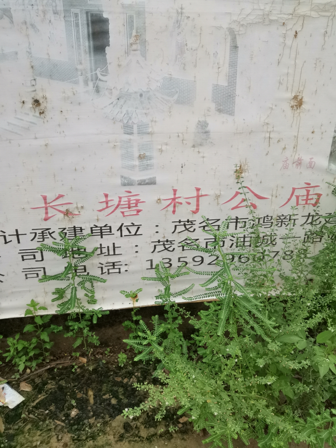长塘村公庙实景照片