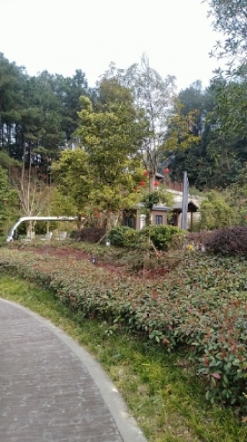 四川省白牛寨森林公园旅行图片 1