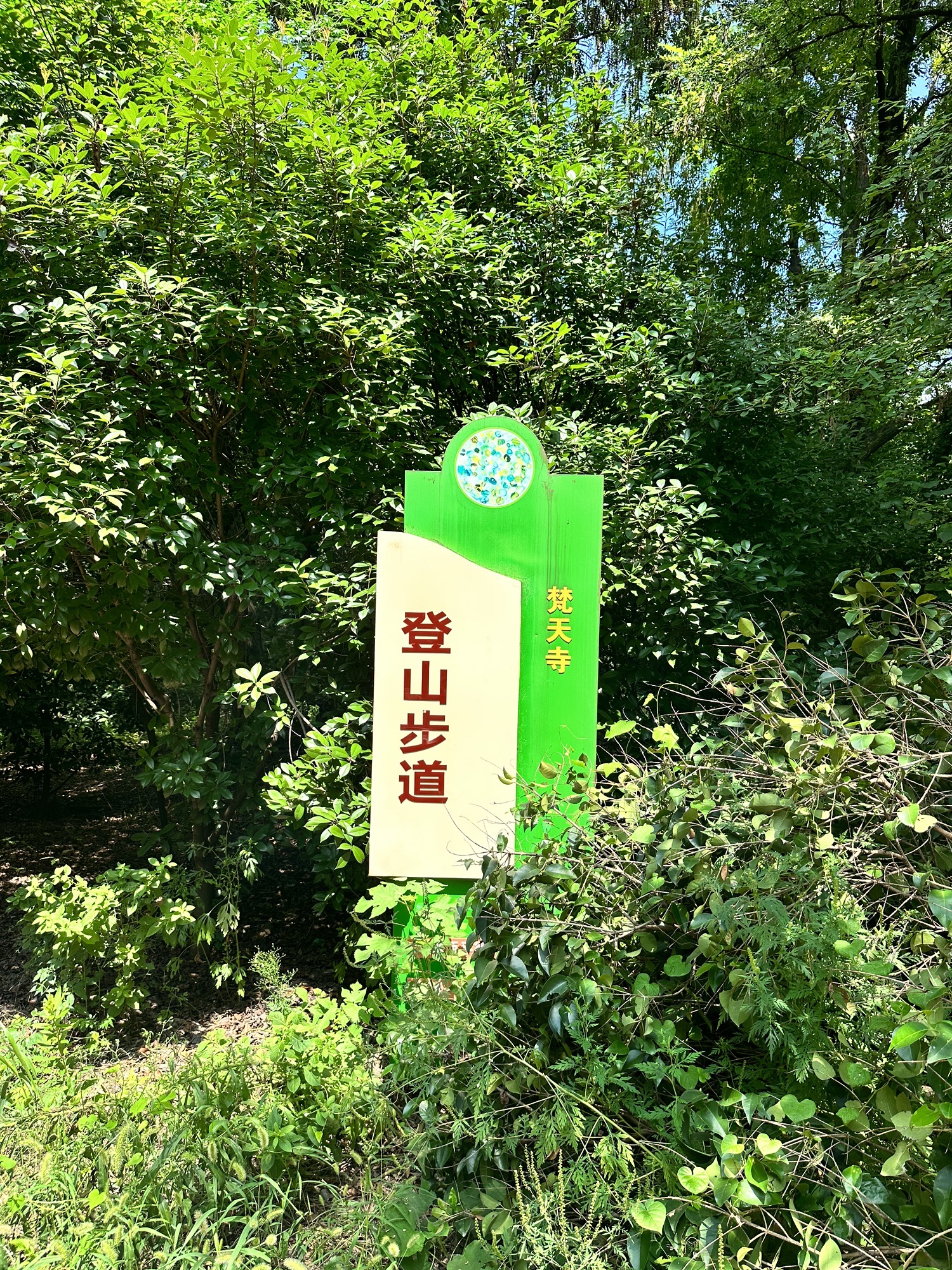 梵天禅寺遗址实景照片