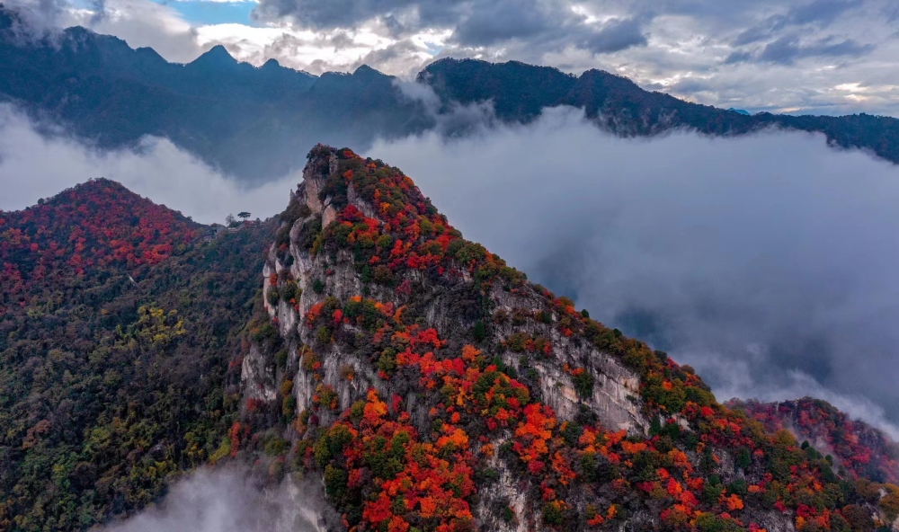 翠华山景区景点图片
