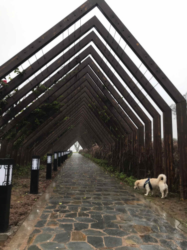 西彭乡趣公园旅行图片 1
