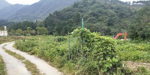 云山殿旅行图片 1