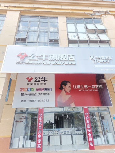 临高公牛旗舰店(市政大道店)