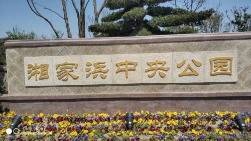 湘家浜中央公园旅行图片 1