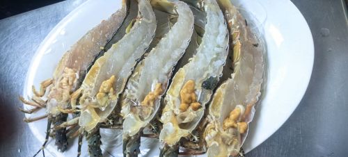 海上人家餐厅(东海村委会店)