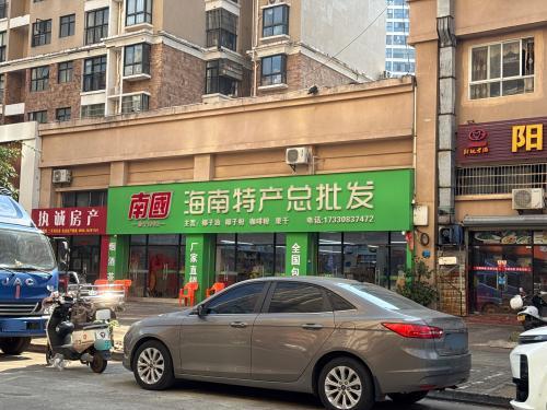 南国海南特产总批发
