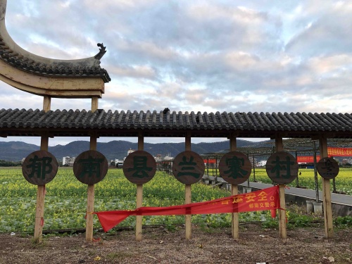 郁南连滩油菜花旅行图片 1